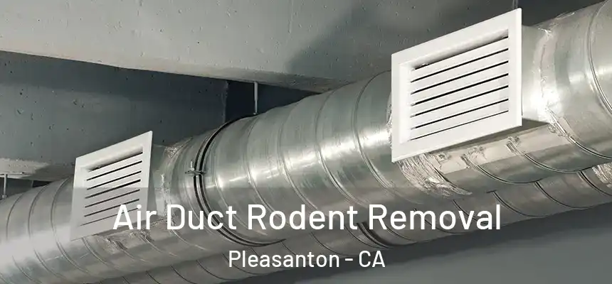 Air Duct Rodent Removal Pleasanton - CA