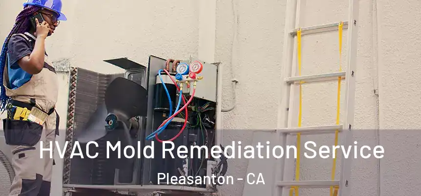 HVAC Mold Remediation Service Pleasanton - CA