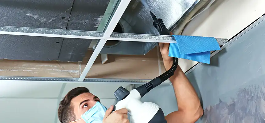 Our Air Duct Rodent Removal Services in Pleasanton, CA