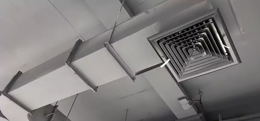 Restorative Allergy Relief Vent Cleaning – Coil, Blower & Housing Detail in Pleasanton