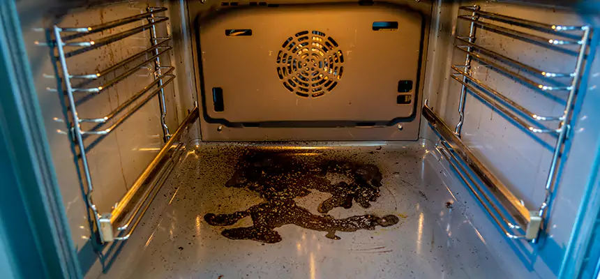 Our Dryer Vent Mold Cleaning Services in Pleasanton, CA