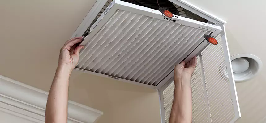 Our Insect Removal from Air Ducts Services in Pleasanton, CA