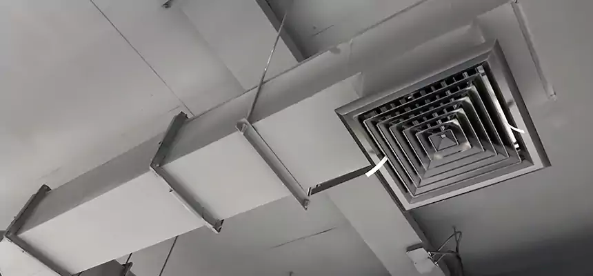 Our Rodent Droppings In Vents Services in Pleasanton, CA