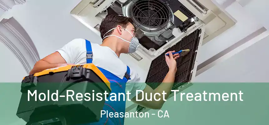 Mold-Resistant Duct Treatment Pleasanton - CA