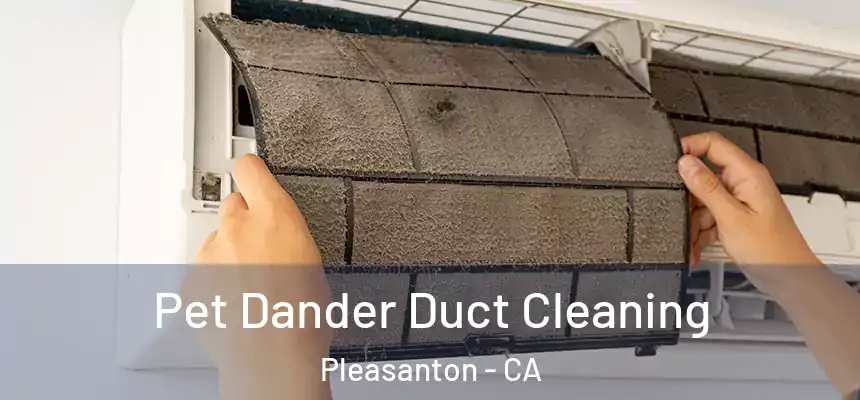 Pet Dander Duct Cleaning Pleasanton - CA