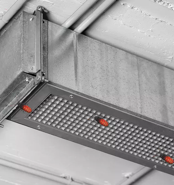 About Air Duct Cockroach Removal in Pleasanton, CA