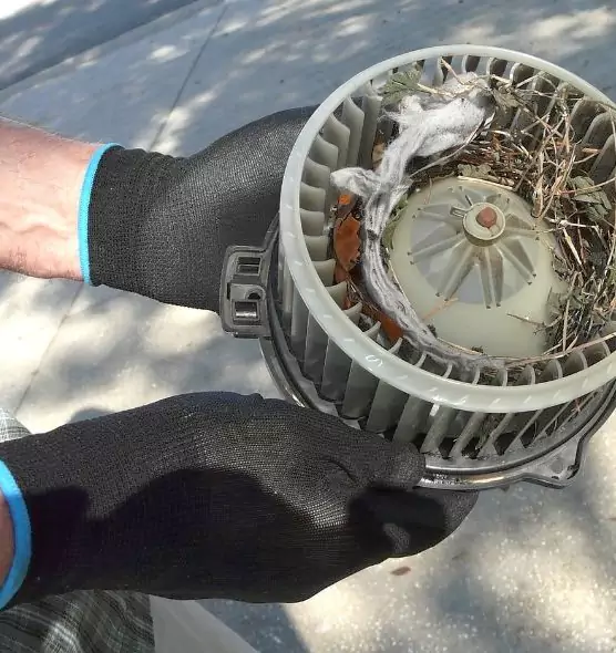 About Air Duct Mice Removal in Pleasanton, CA