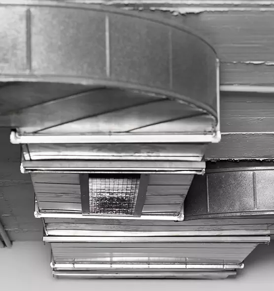 Professional Air Duct Pet Hair Removal in Pleasanton, CA