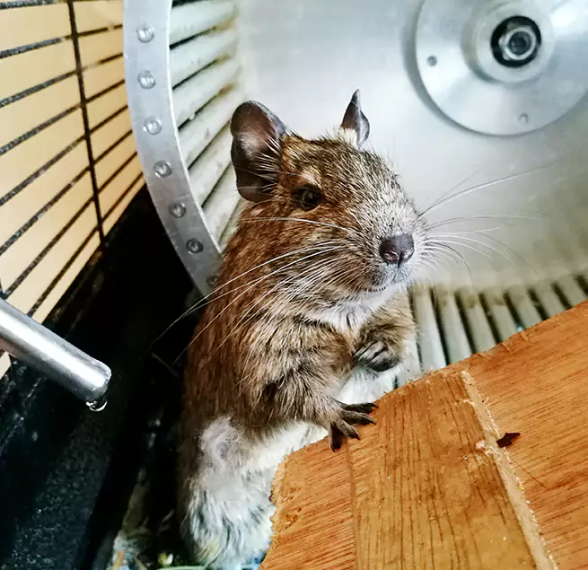 Why Homeowners & Businesses Trust Us Pleasanton, CA