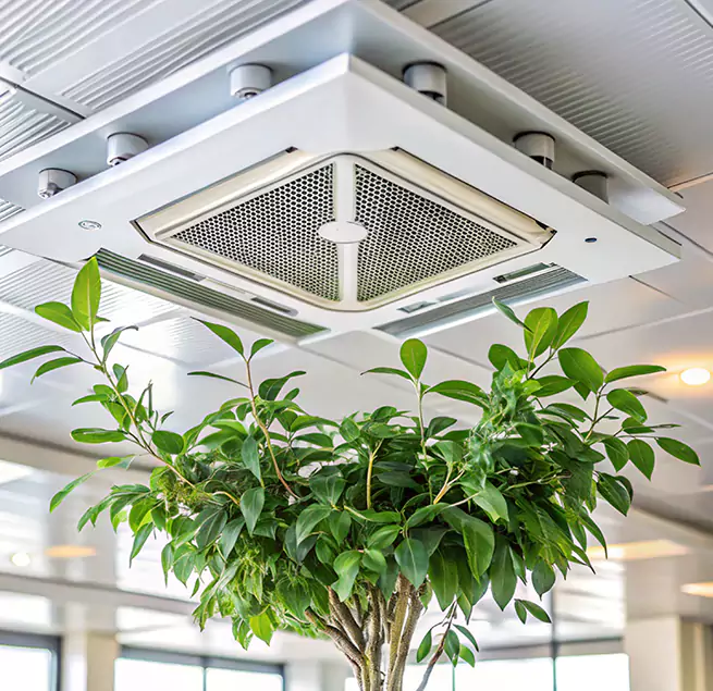 Why Homeowners & Businesses Trust Us in Pleasanton, CA?