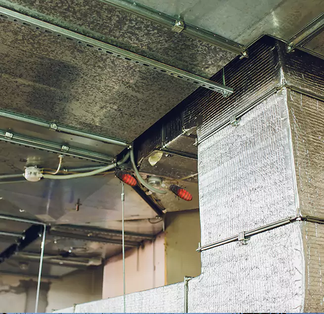 Why Homeowners & Businesses Trust Us Pleasanton, CA?