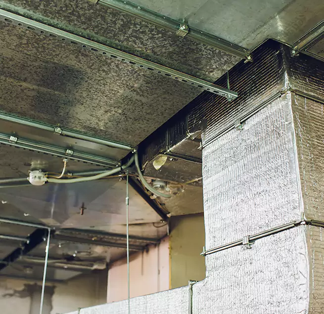 Why Homeowners & Businesses Trust Us in Pleasanton, CA?