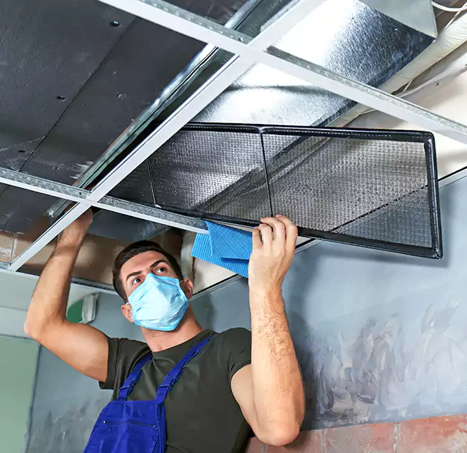 Why Homeowners Businesses Trust Us in Pleasanton, CA